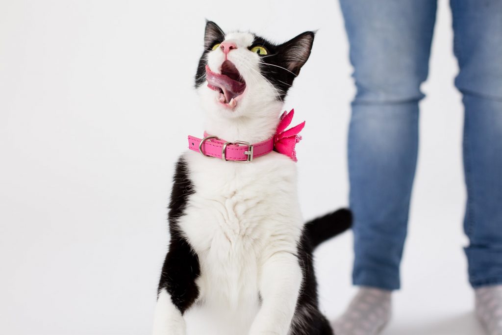 photographe-nice-famille-bebe-enfant-couple-mariage-lifestyle-portrait-magali-caldani-maternite-grossesse