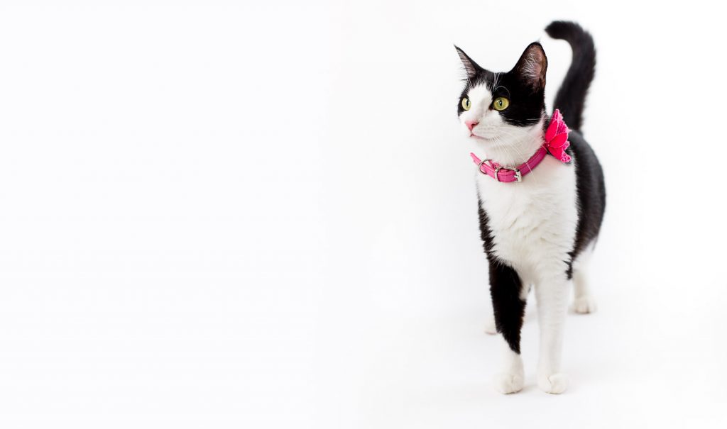 photographe-nice-famille-bebe-enfant-couple-mariage-lifestyle-portrait-magali-caldani-maternite-grossesse