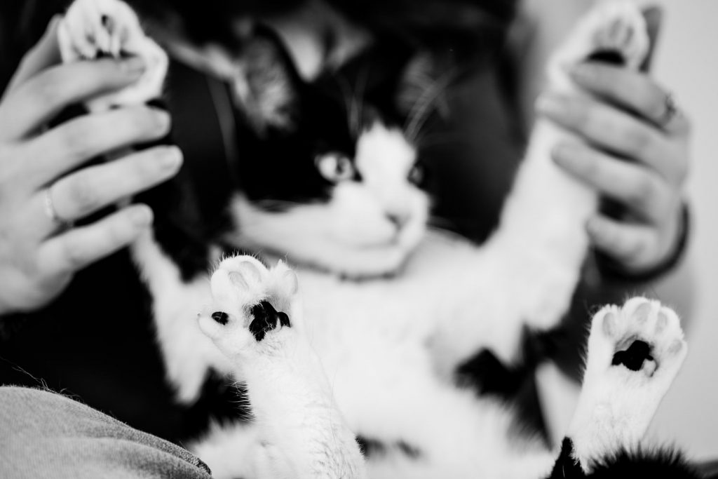 photographe-nice-famille-bebe-enfant-couple-mariage-lifestyle-portrait-magali-caldani-maternite-grossesse