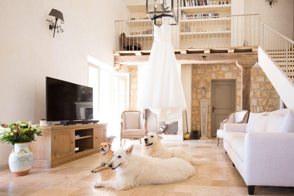 photographe-nice-famille-bebe-enfant-couple-mariage-lifestyle-portrait-magali-caldani-maternite-grossesse-animaux